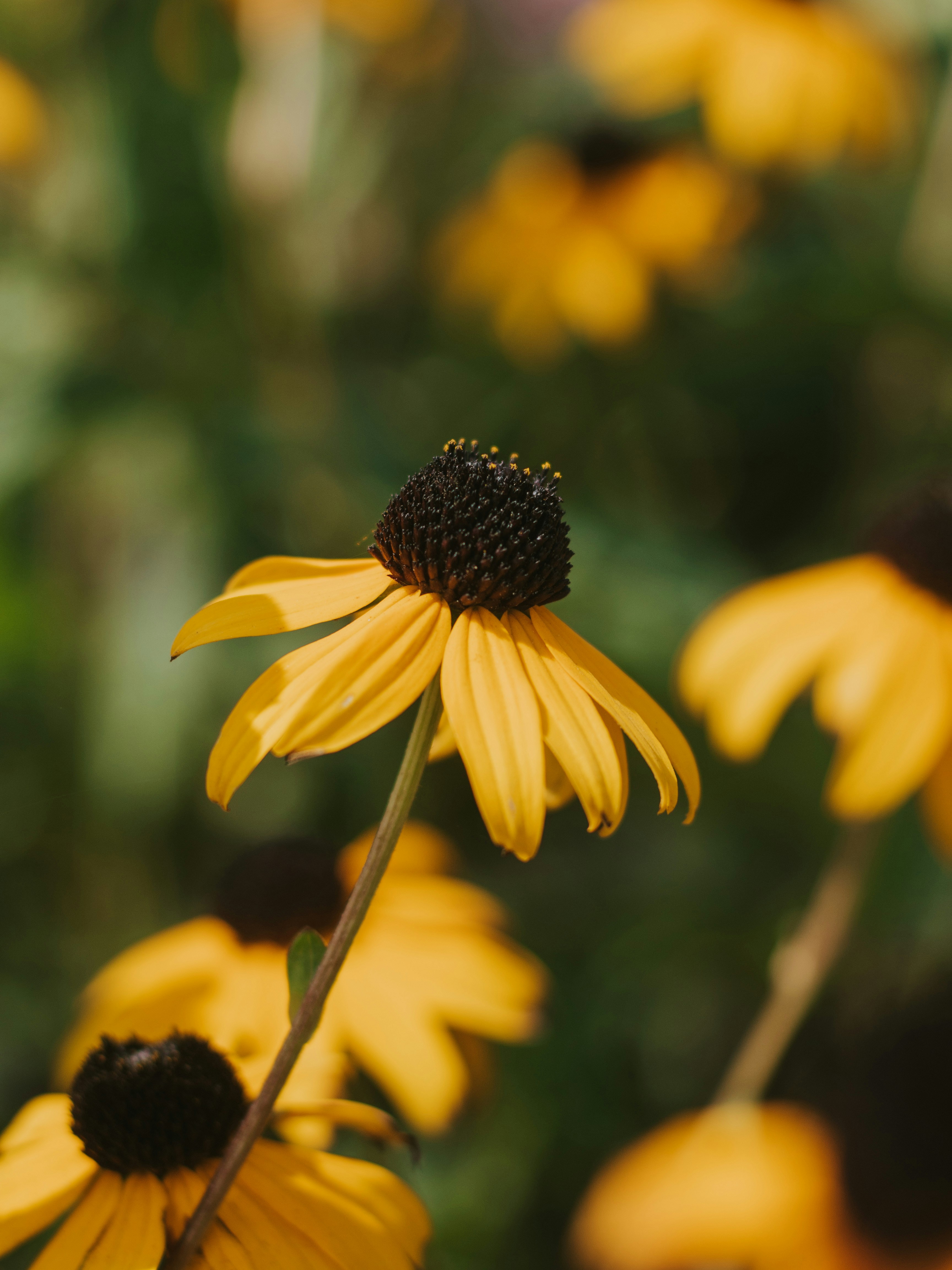 Photo by giobartlett