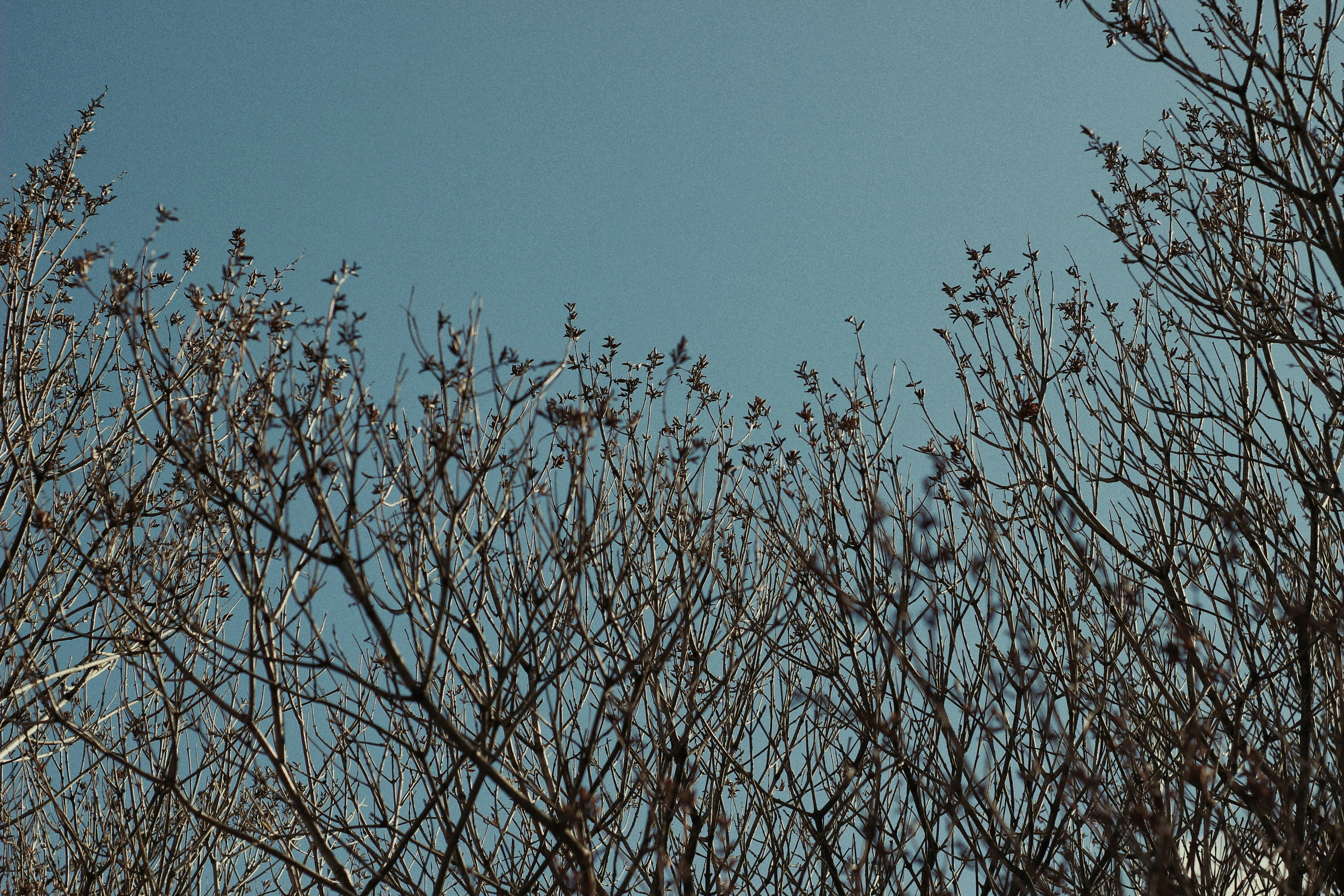 Photo by _ptichkasinichka_