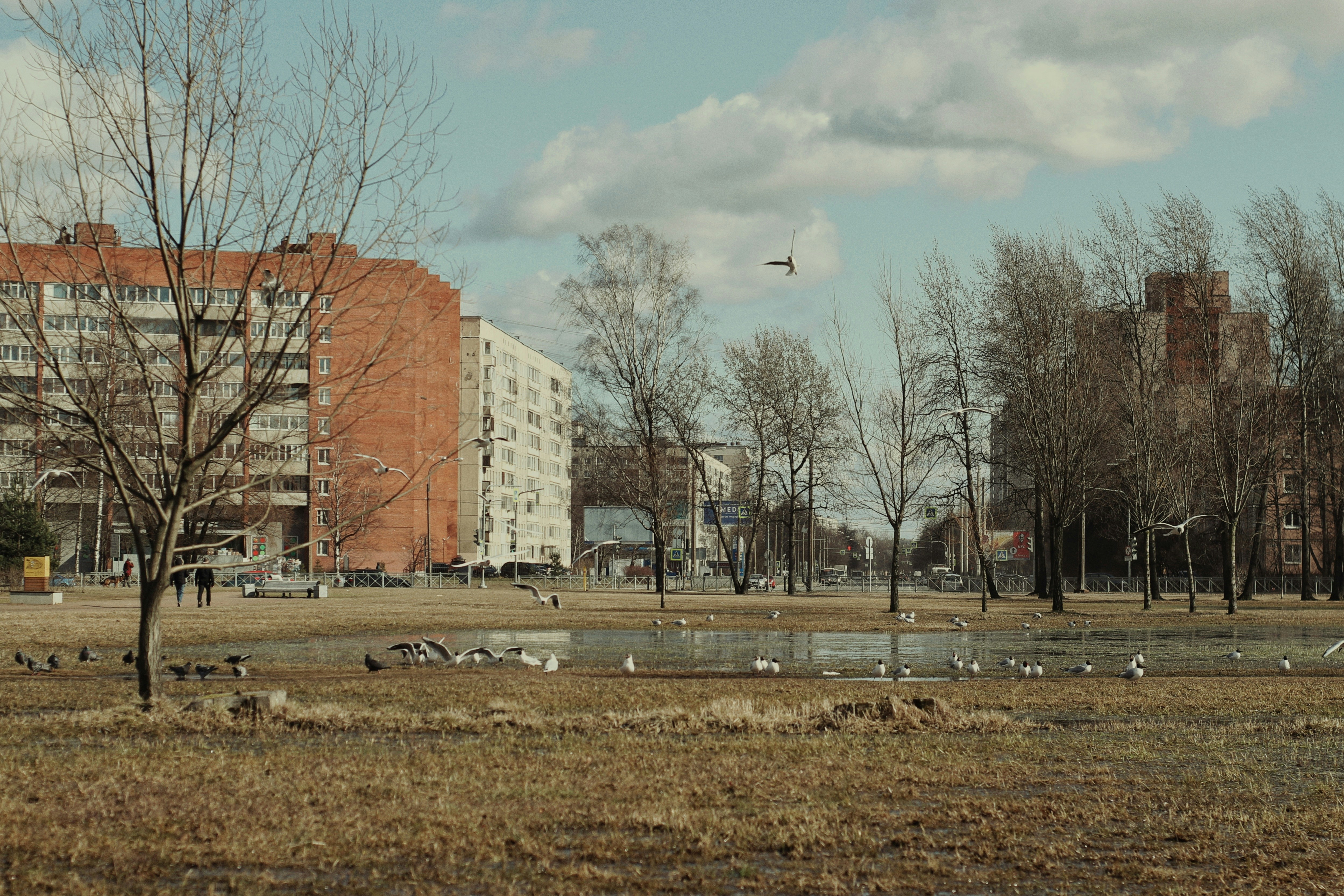 Photo by _ptichkasinichka_