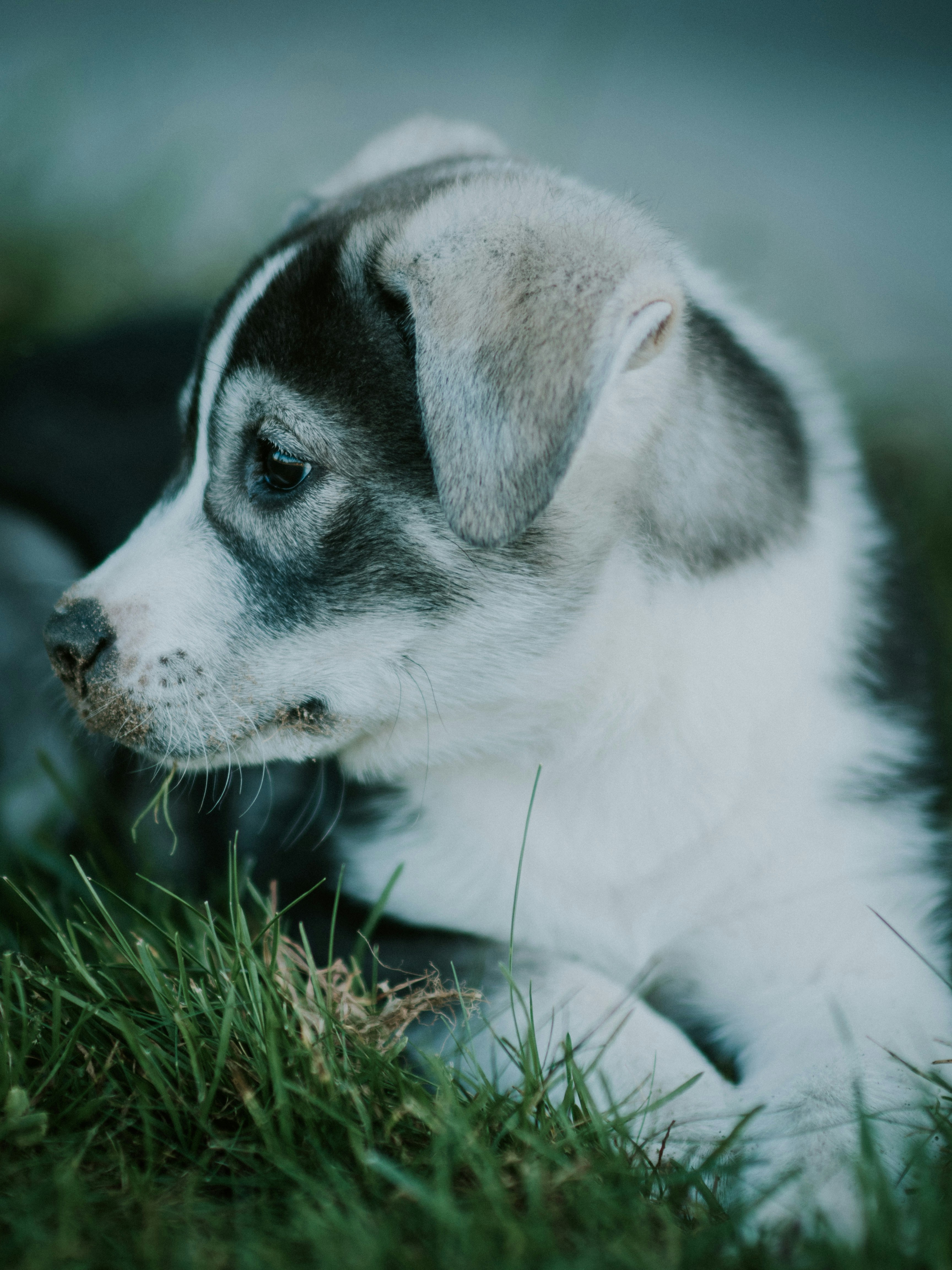 Photo by giobartlett