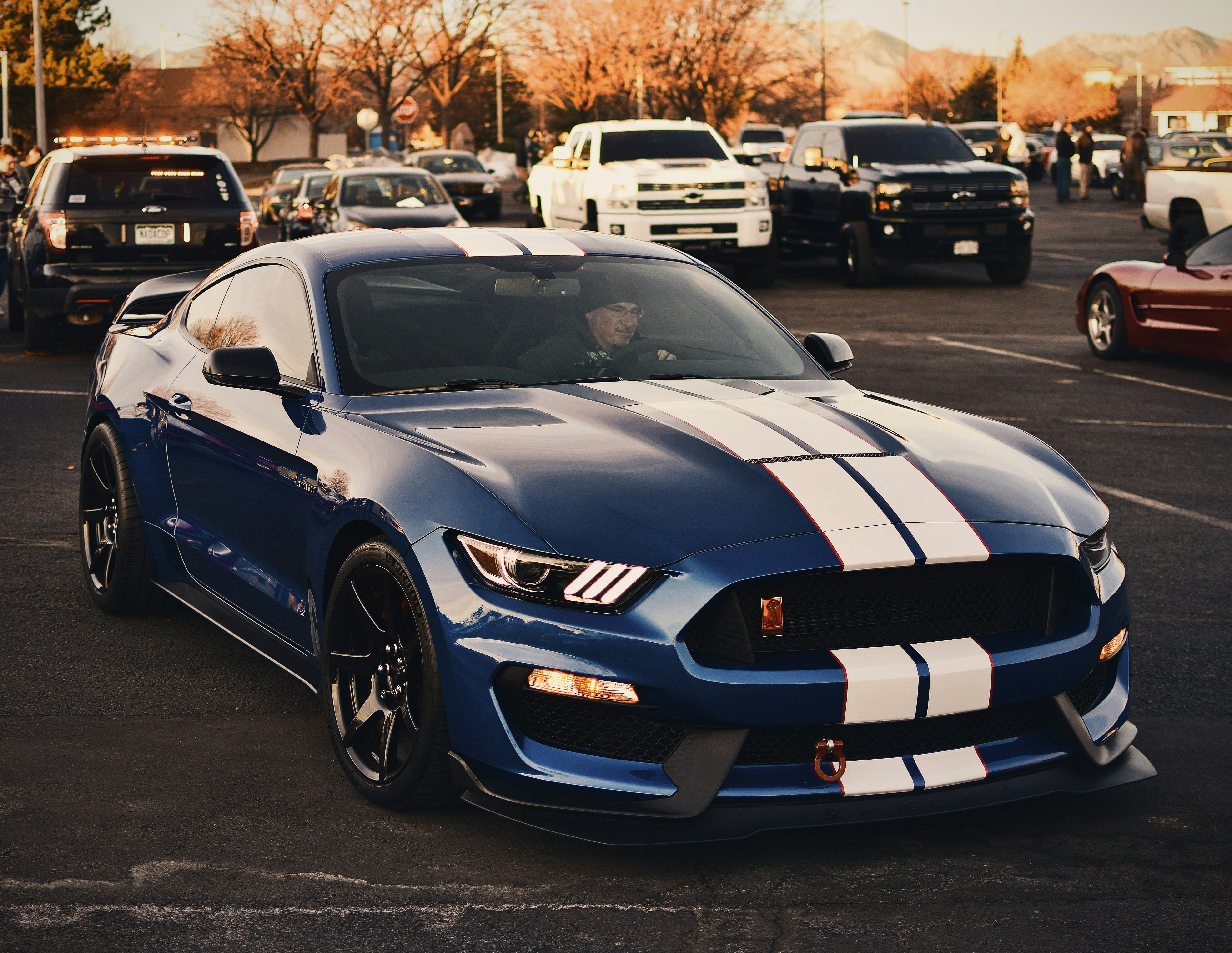 Photo by brandon_paul02