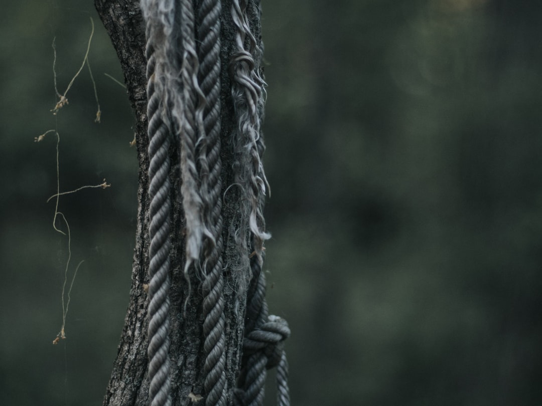 grey rope in close up photography