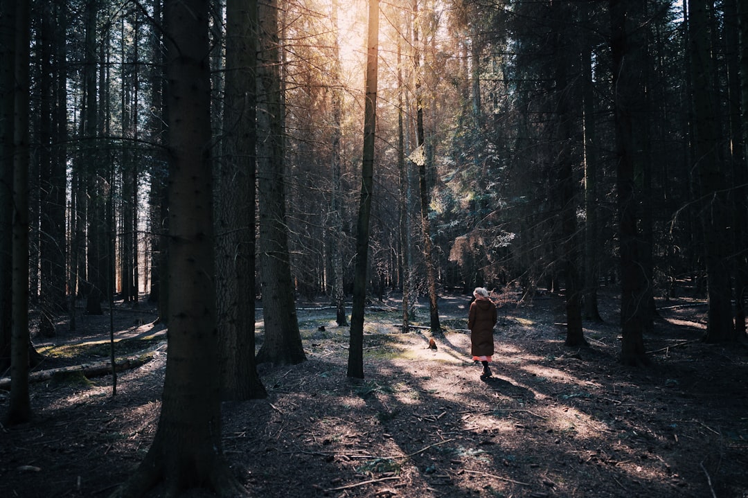 Forest photo spot Jægersborg Hegn Jægersborg Dyrehave