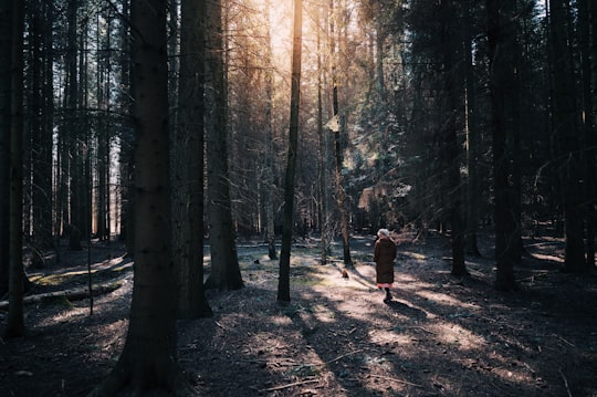 man in brown jacket and black pants standing in the middle of forest during daytime in Jægersborg Hegn Denmark