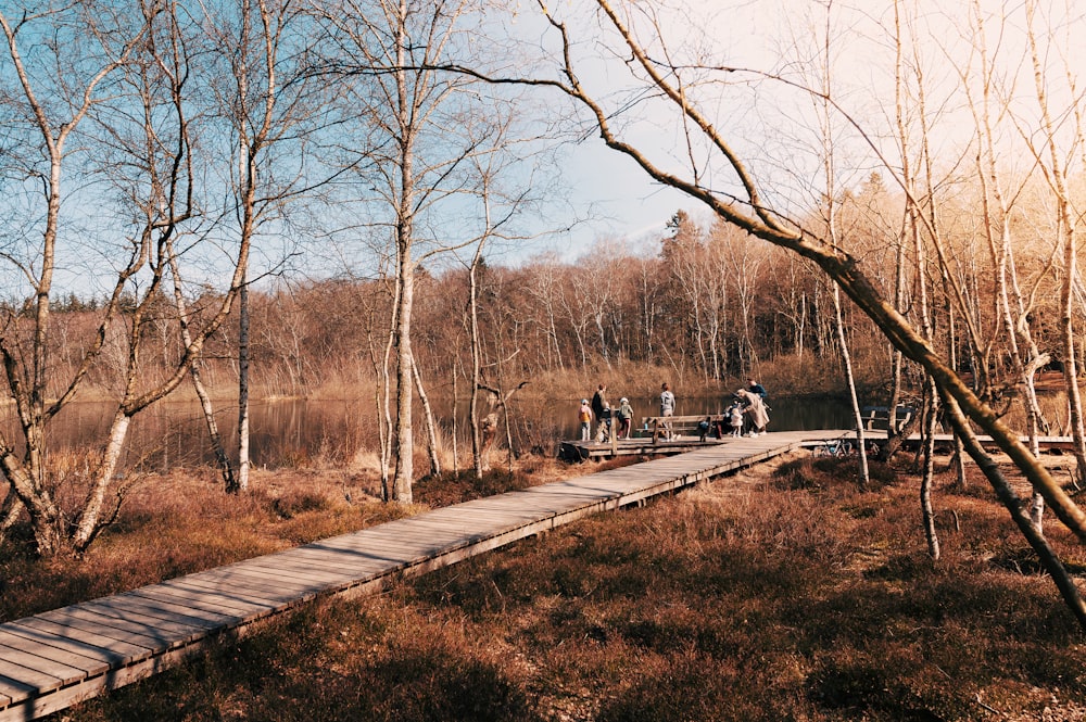 people walking on the road near bare trees during daytime