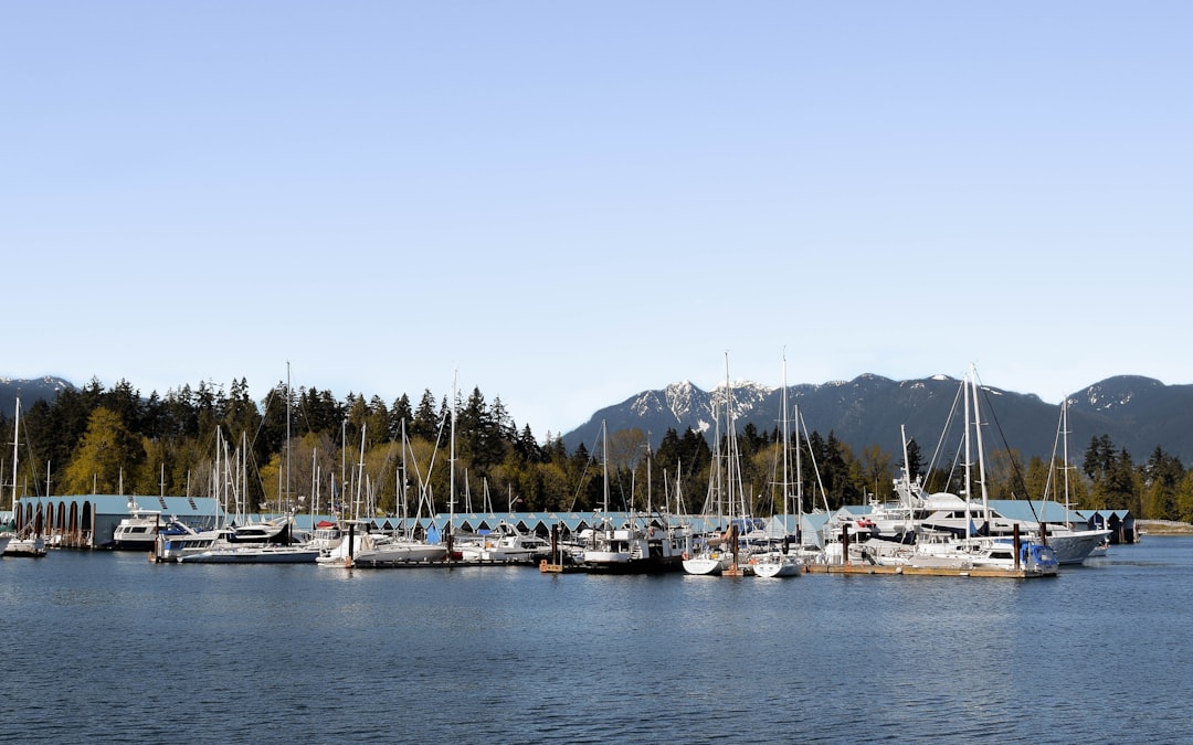 white and blue boats on sea during daytime