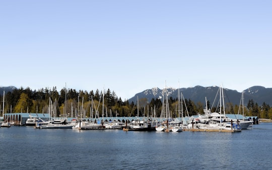 white and blue boats on sea during daytime in Stanley Park Canada