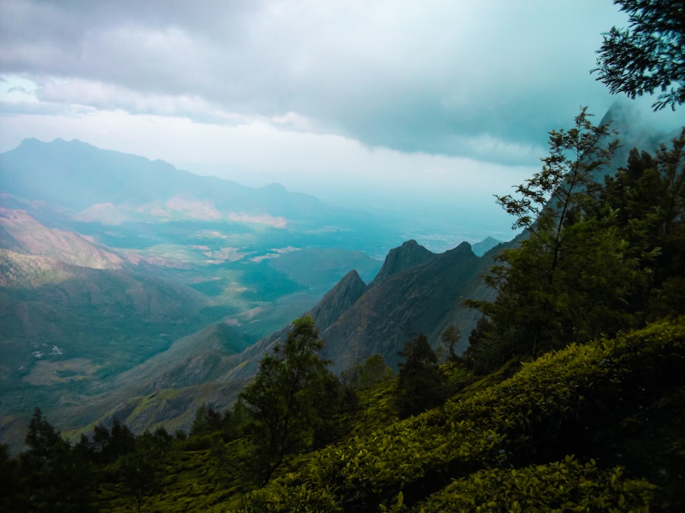 green trees on mountain under white clouds during daytime