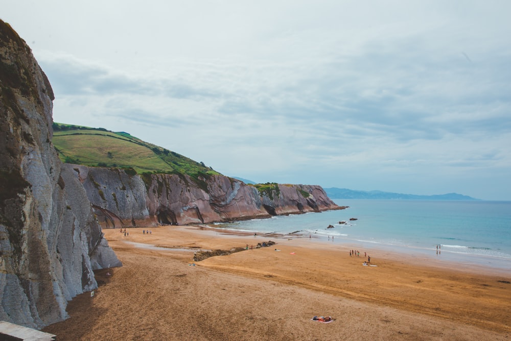 people on beach during daytime