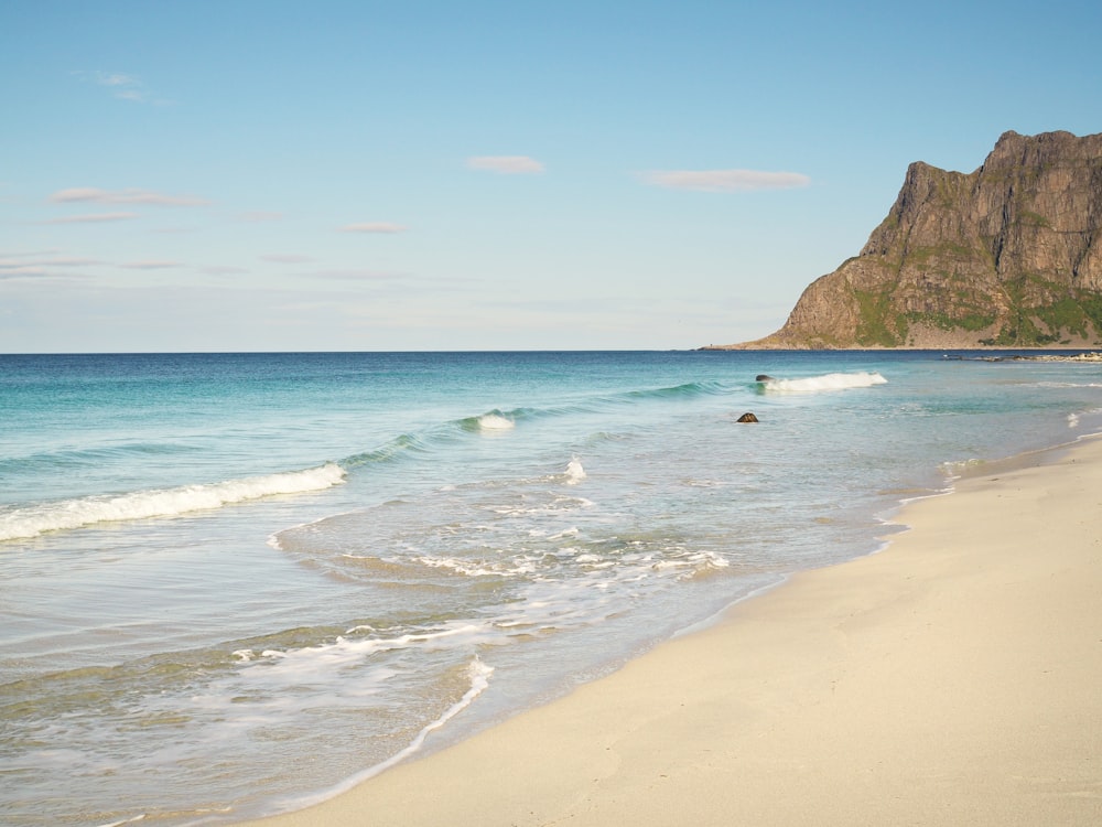 people on beach during daytime