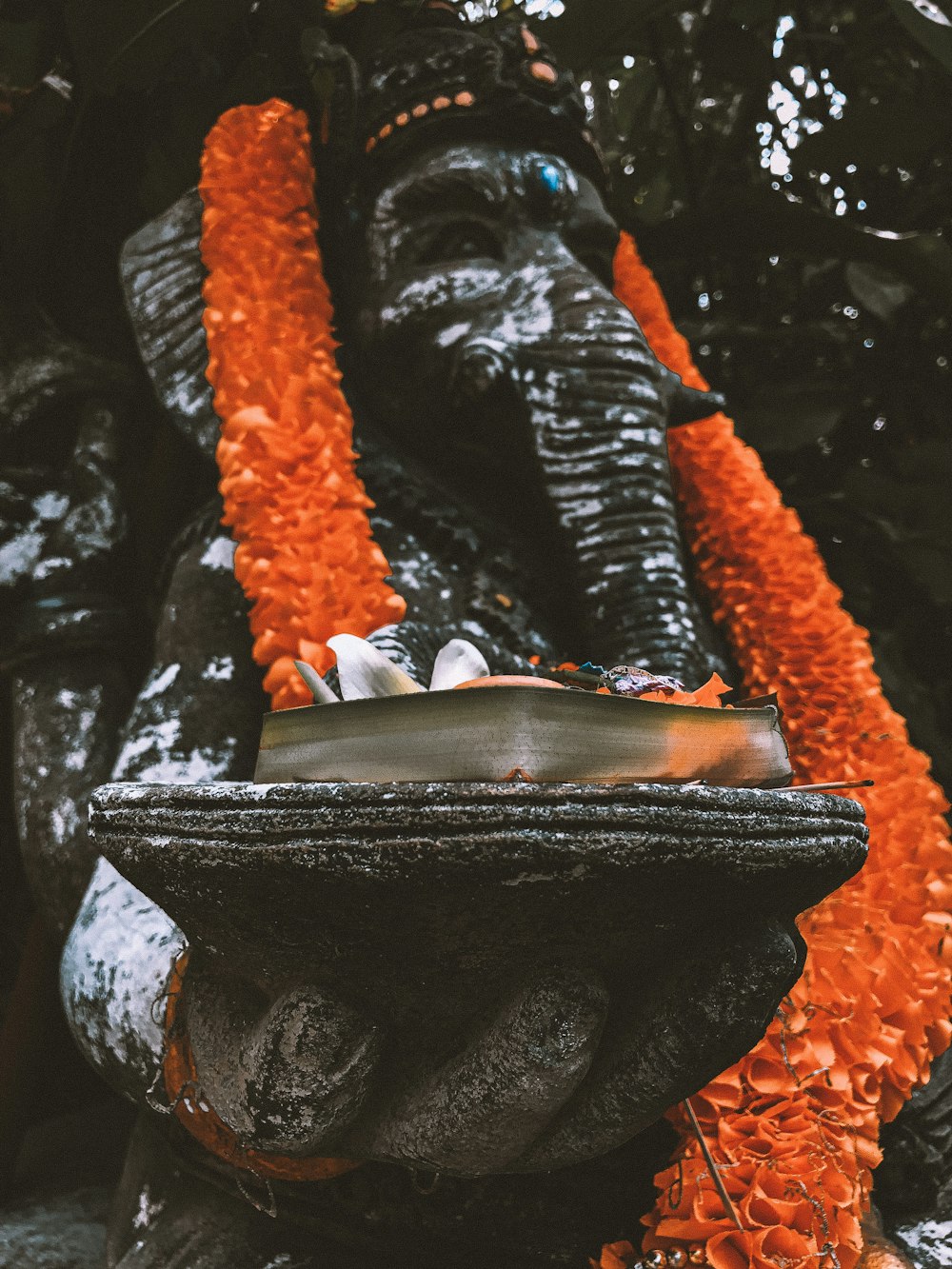 orange and black rope on black and gray rock