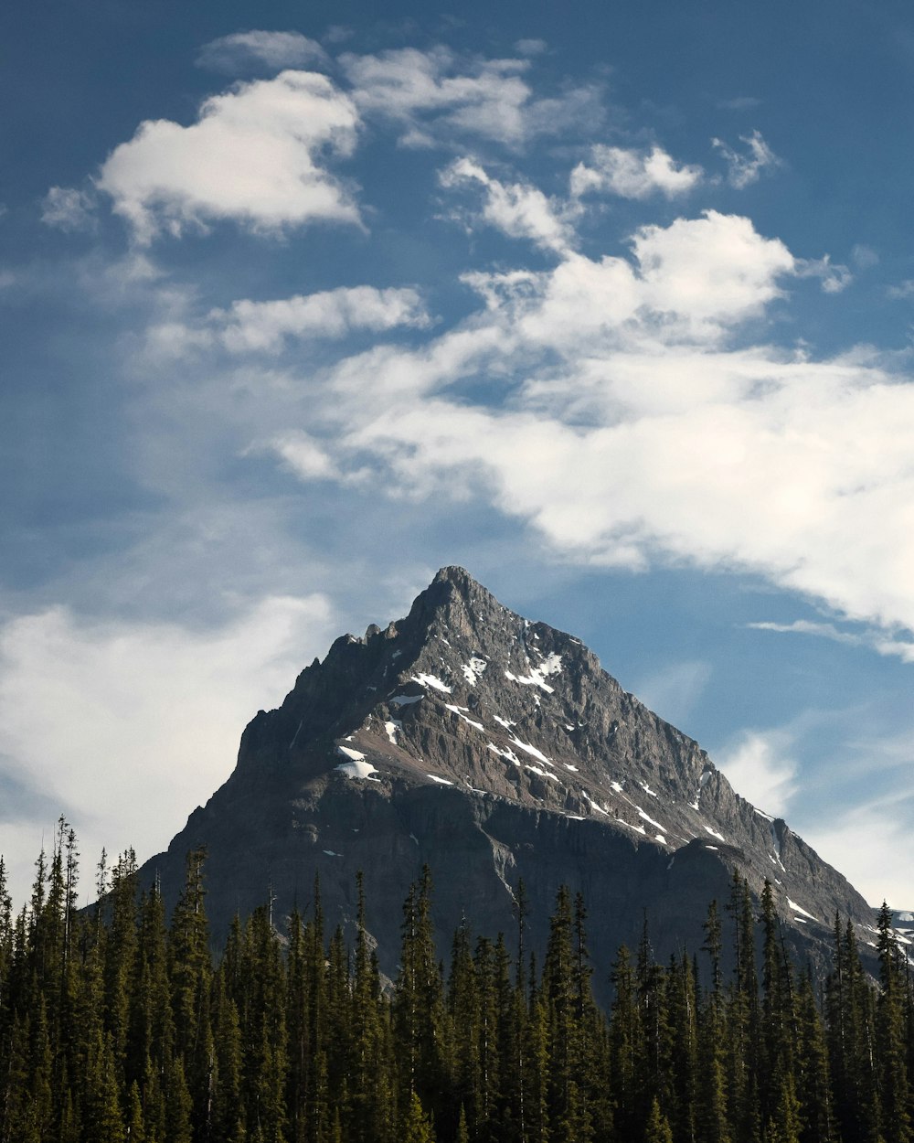 green pine trees near mountain under white clouds during daytime