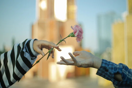 person holding pink flower during daytime