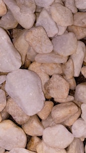 A collection of small, irregularly shaped stones with smooth surfaces. The stones vary in color from light beige to creamy white, and they are closely packed together.