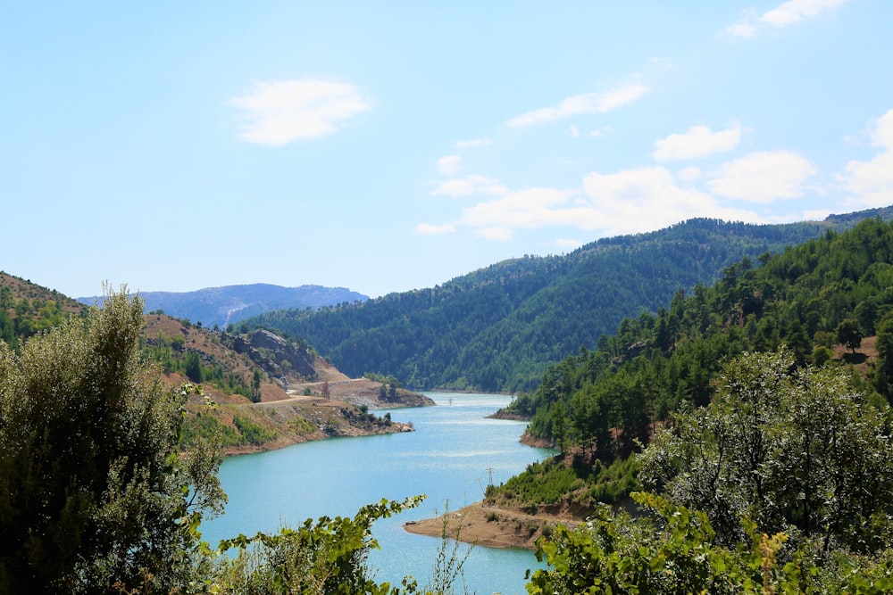 árvores verdes perto do lago sob o céu azul durante o dia