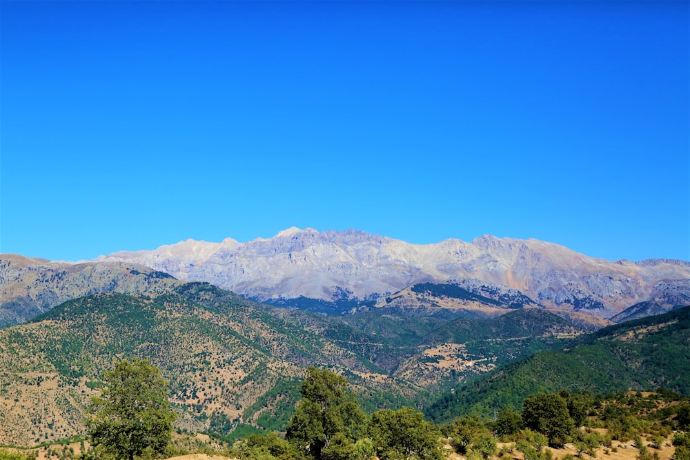 green trees on mountain under blue sky during daytime