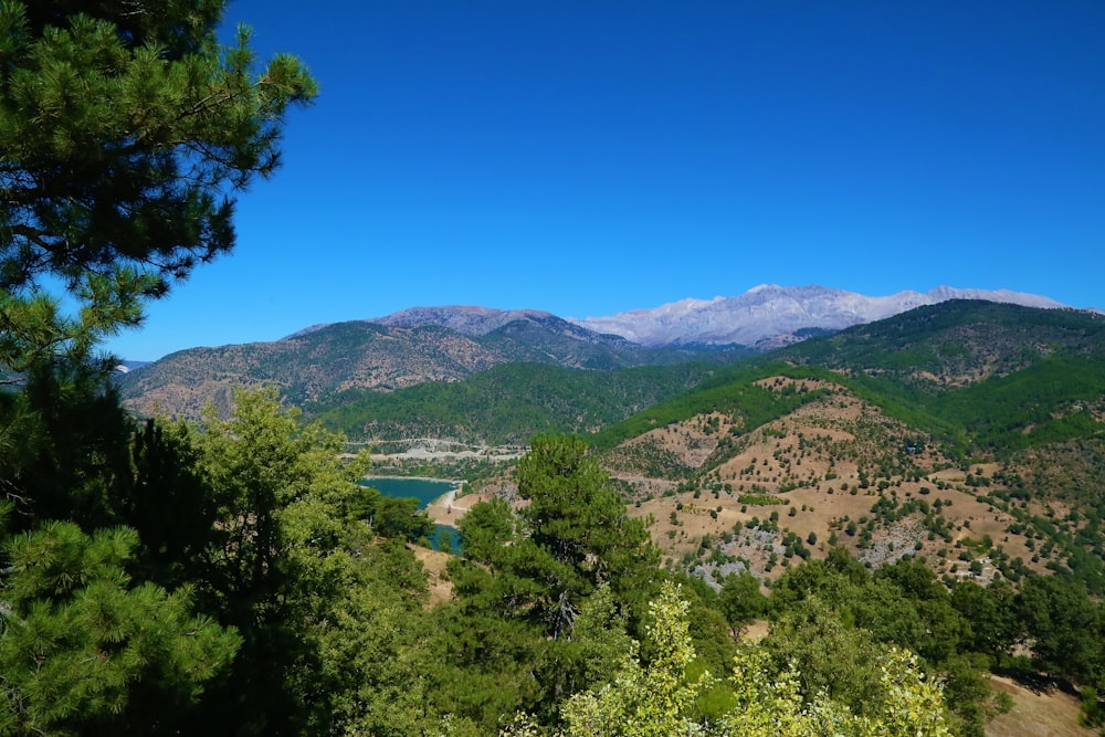 green trees and mountains under blue sky during daytime