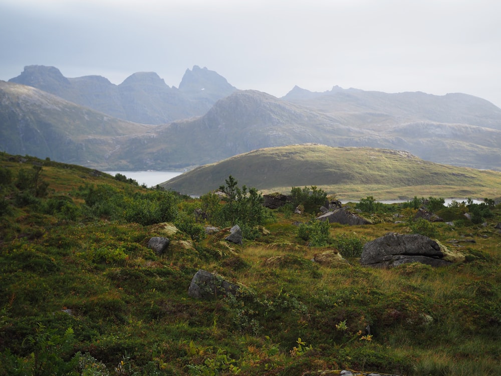 green grass field and mountains during daytime