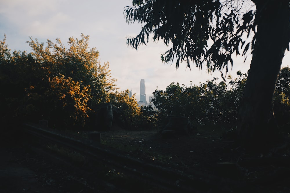 white concrete building near trees during daytime