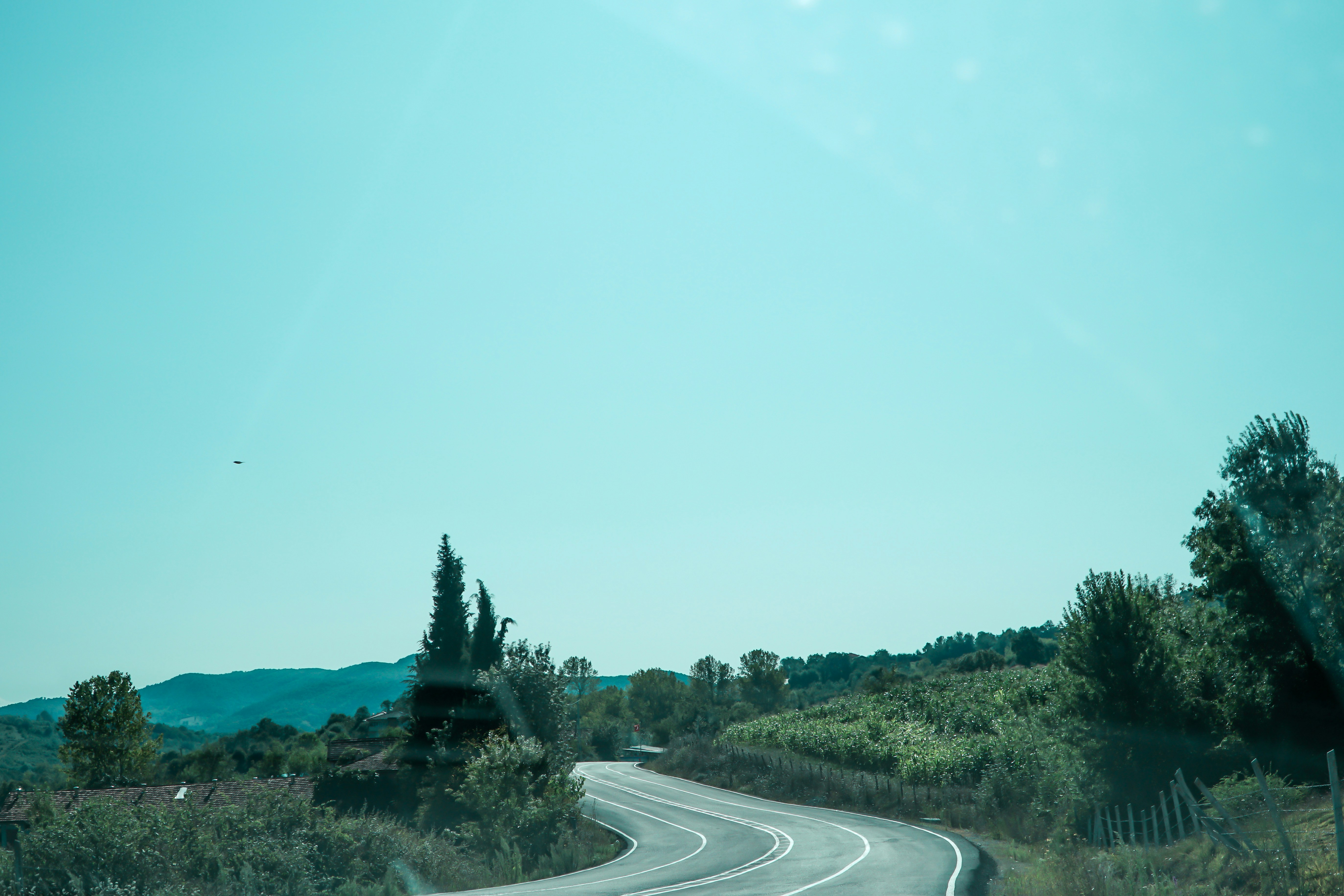 Photo by mertkahveci