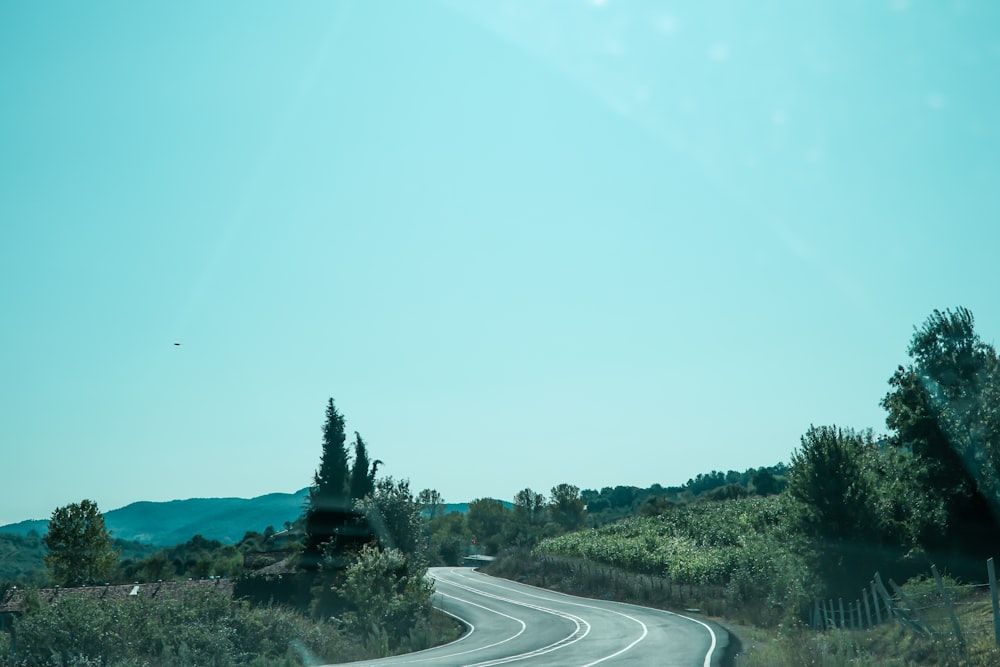 green trees on hill under blue sky during daytime