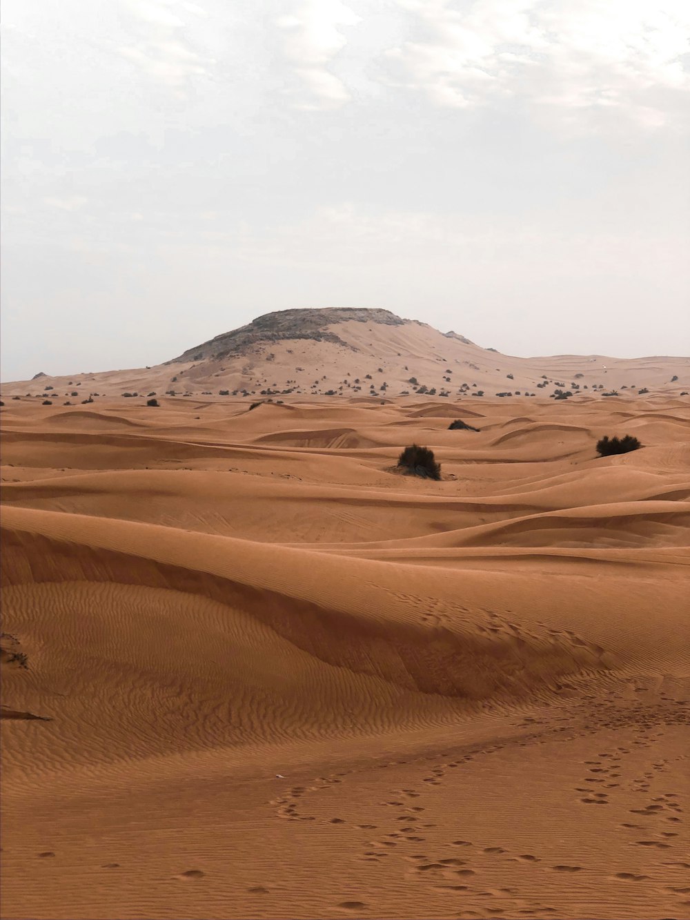 brown sand dunes under white sky during daytime