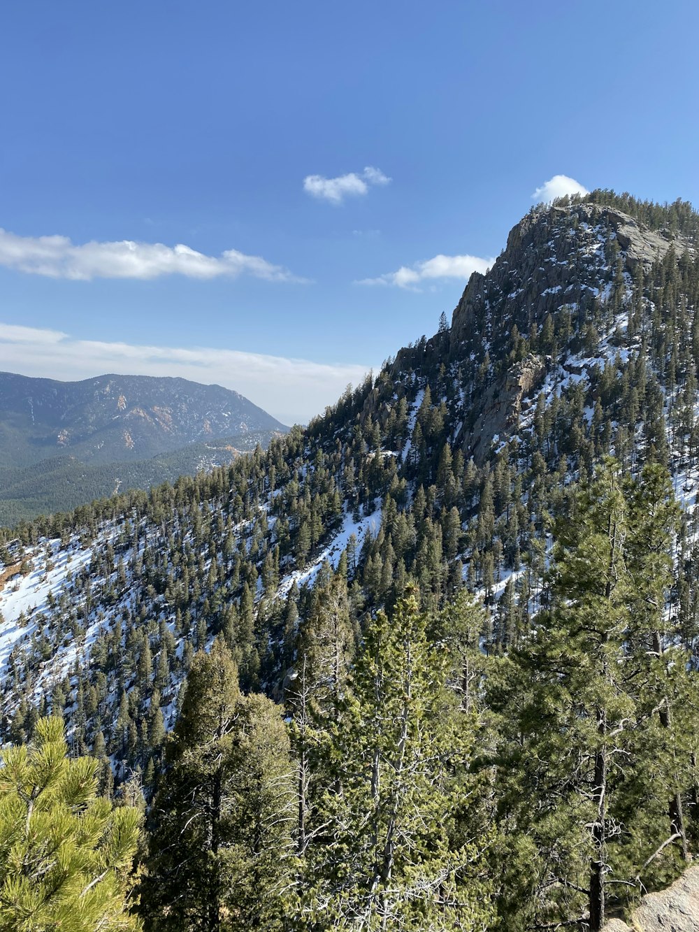 alberi verdi sulla montagna sotto il cielo blu durante il giorno