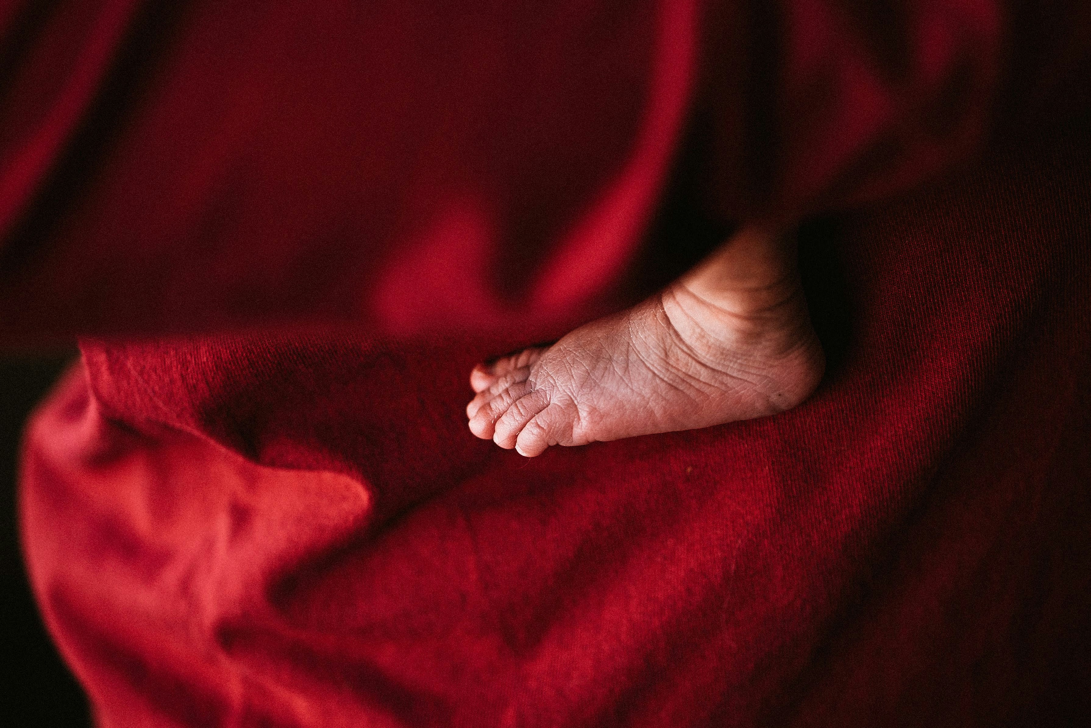 Photo by giginkrishnan