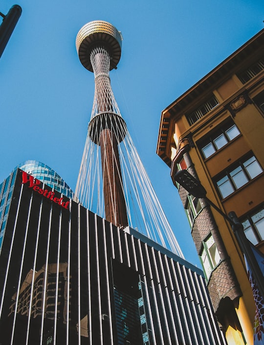 brown and white concrete building in Sydney Tower Eye Australia