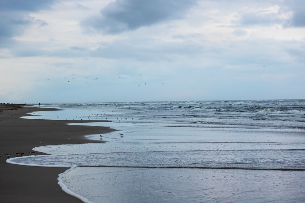 person walking on beach during daytime