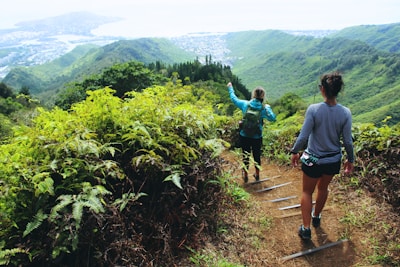 man and woman walking on pathway between green plants during daytime