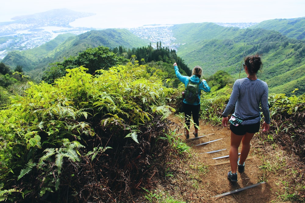 man and woman walking on pathway between green plants during daytime