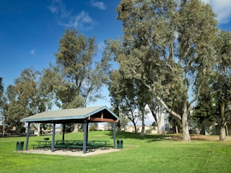A well-maintained park area with a wooden pavilion surrounded by green grass and tall trees. Several picnic tables are situated under the pavilion. There is a trash bin nearby, and to the side, a playground is partially visible with play equipment. The sky is clear and blue, providing a serene and inviting outdoor atmosphere.