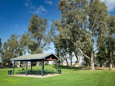 Well-maintained communal picnic area shaded by tall trees.