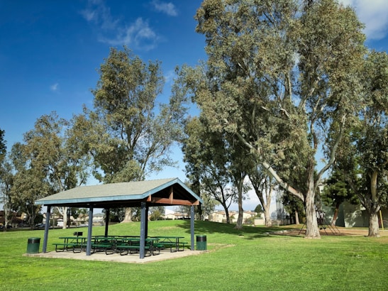 A well-maintained park area with a wooden pavilion surrounded by green grass and tall trees. Several picnic tables are situated under the pavilion. There is a trash bin nearby, and to the side, a playground is partially visible with play equipment. The sky is clear and blue, providing a serene and inviting outdoor atmosphere.
