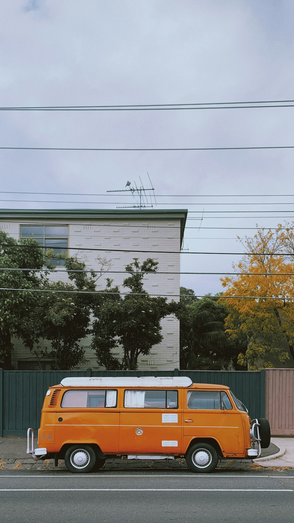 orange and white van parked beside green tree during daytime