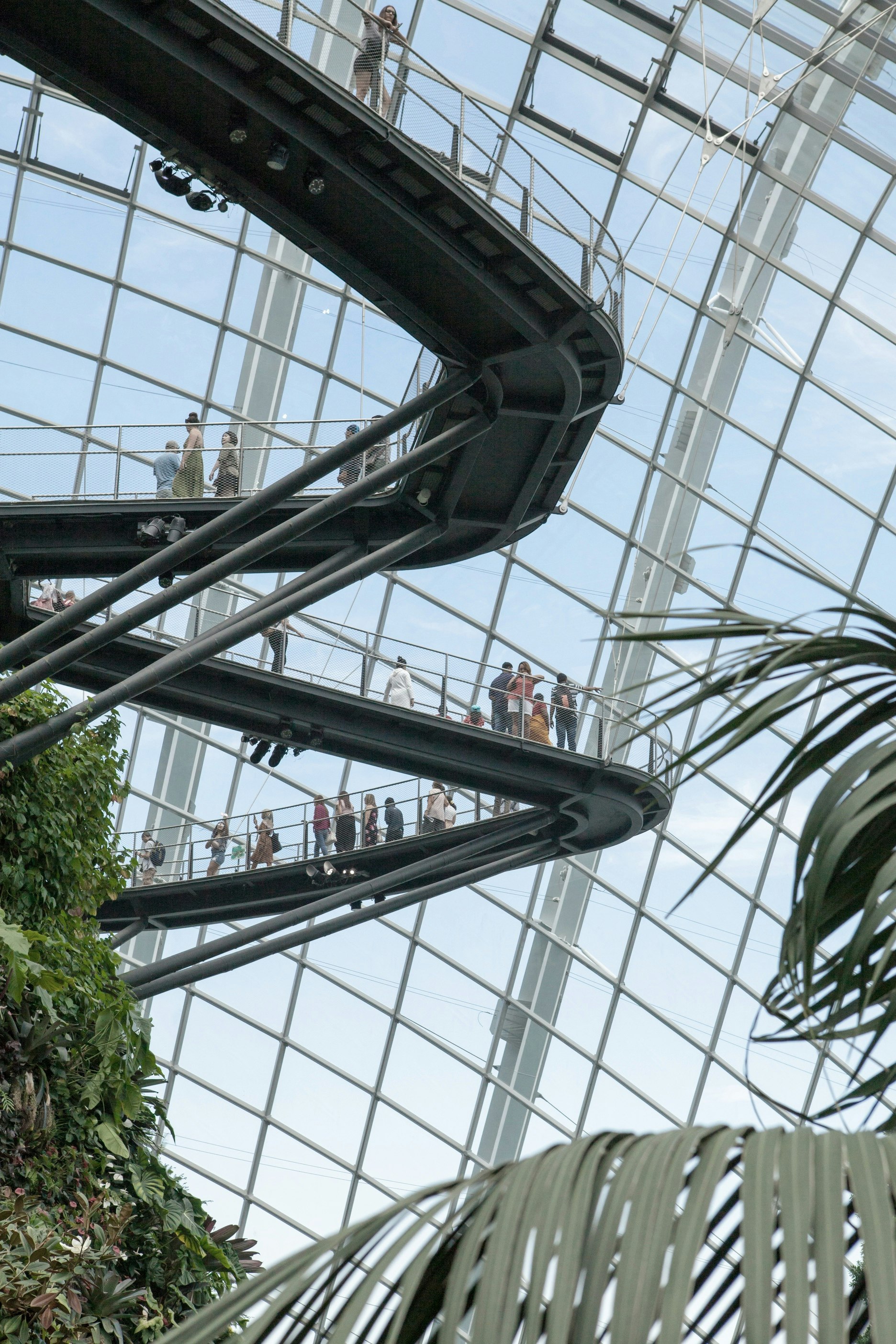 black metal spiral ladder near green plants