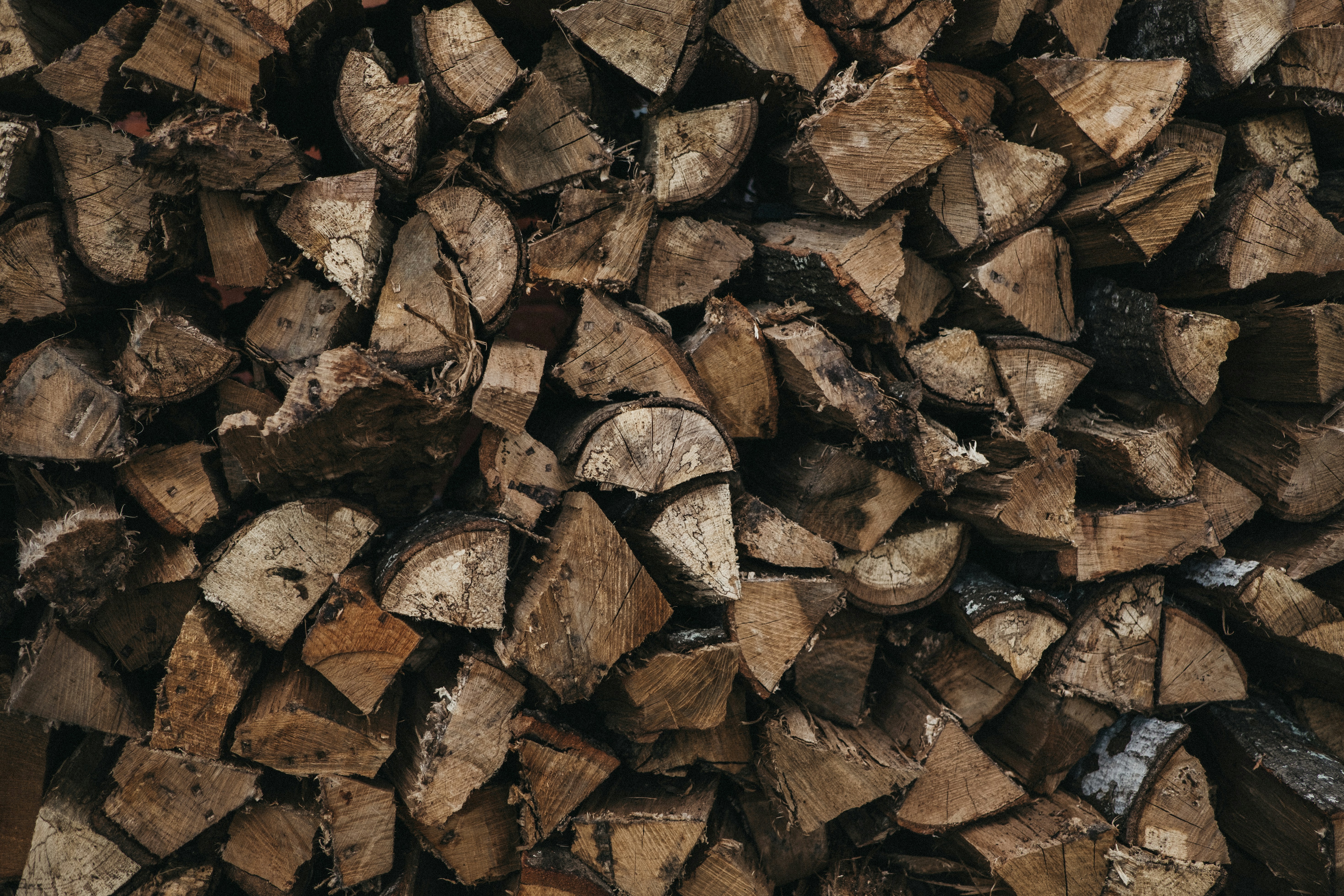 Photo by brandonburridge