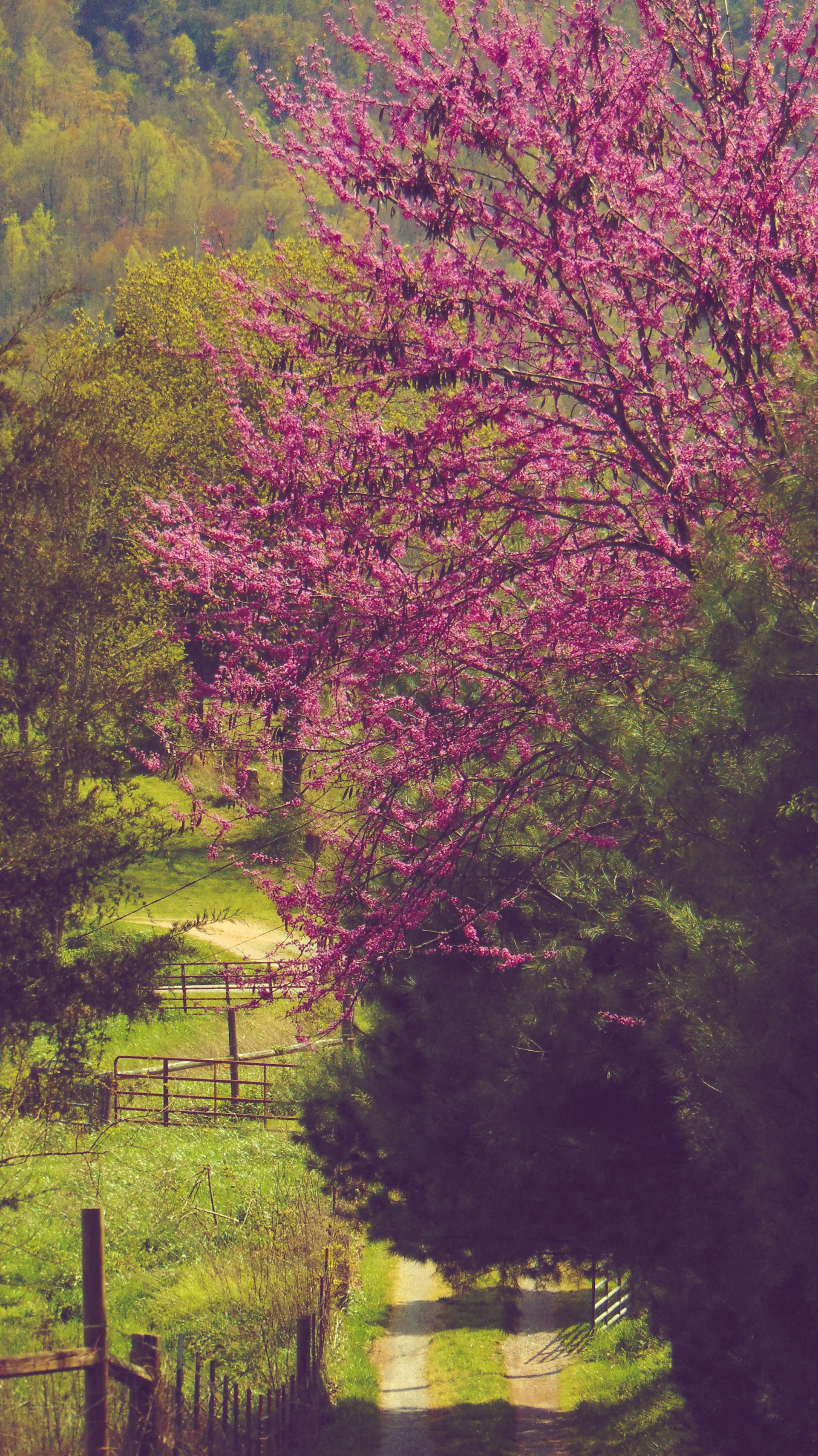 woman wearing yellow long-sleeved dress under white clouds and blue sky during daytime