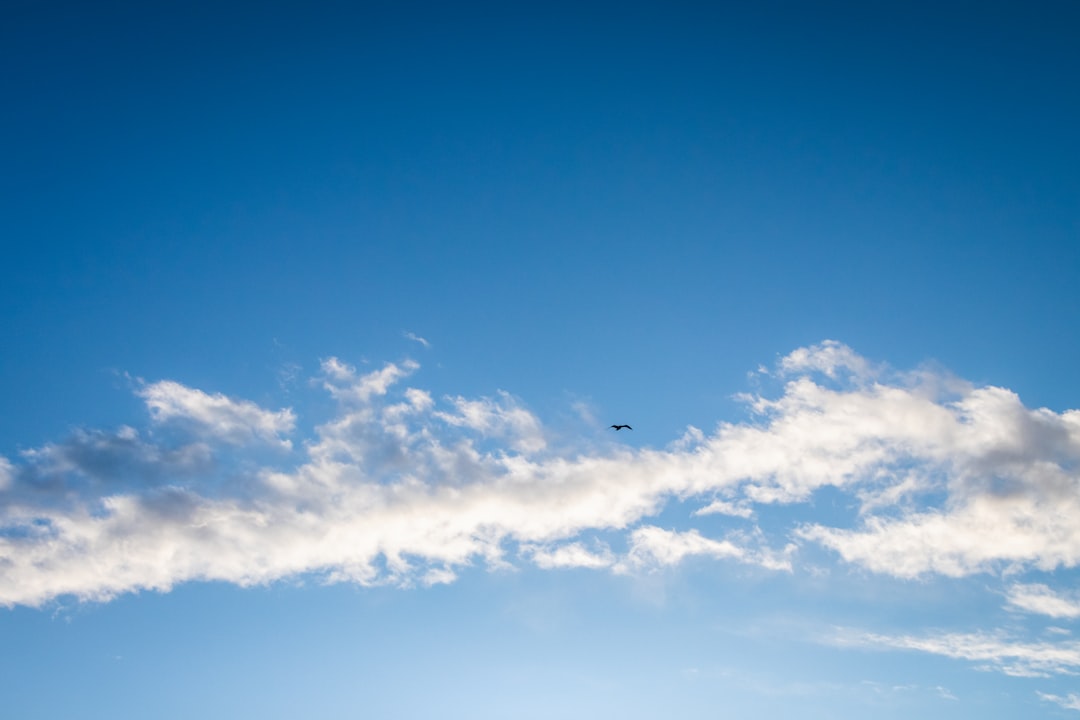 white clouds and blue sky during daytime