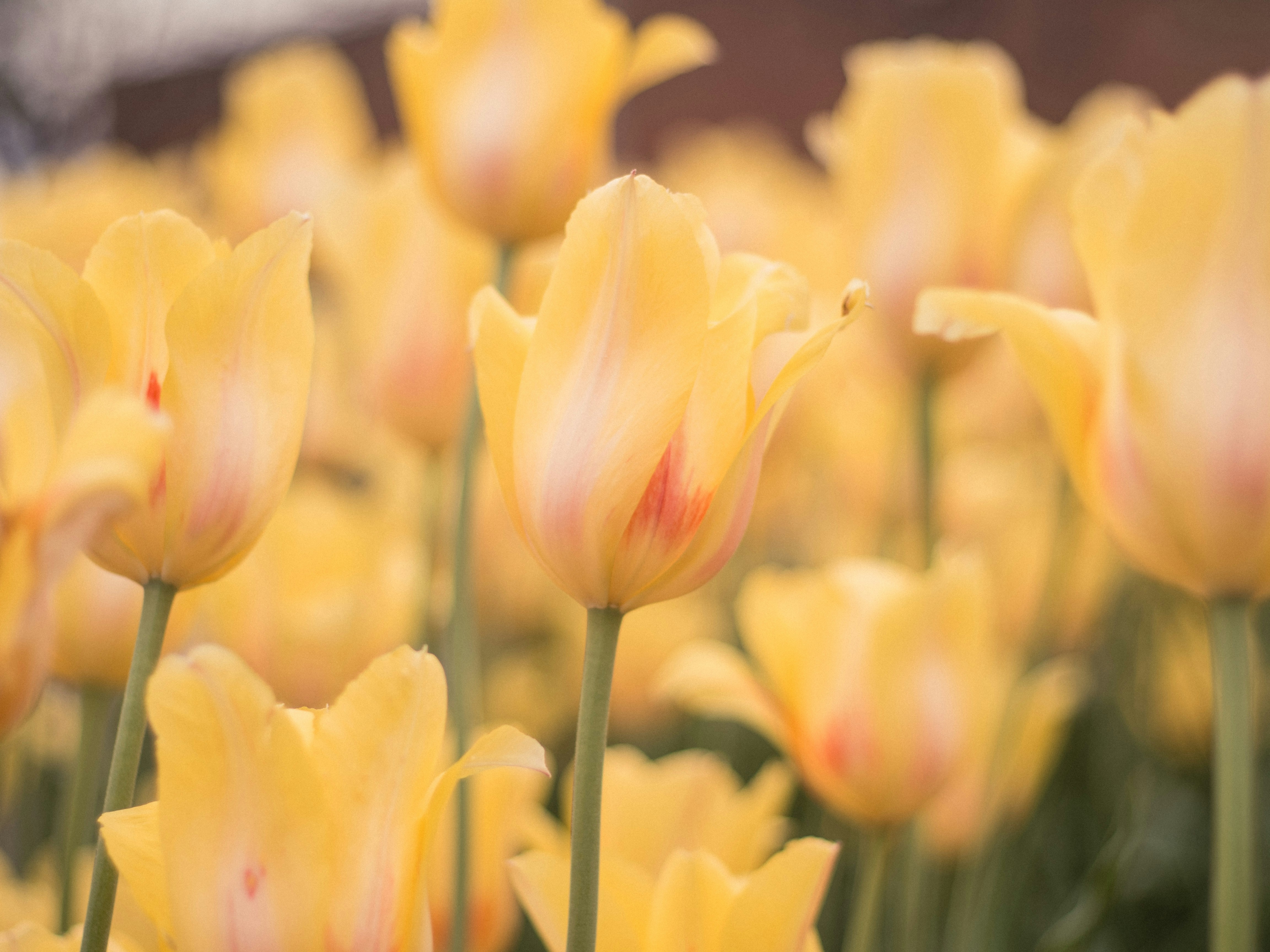 Photo by giobartlett