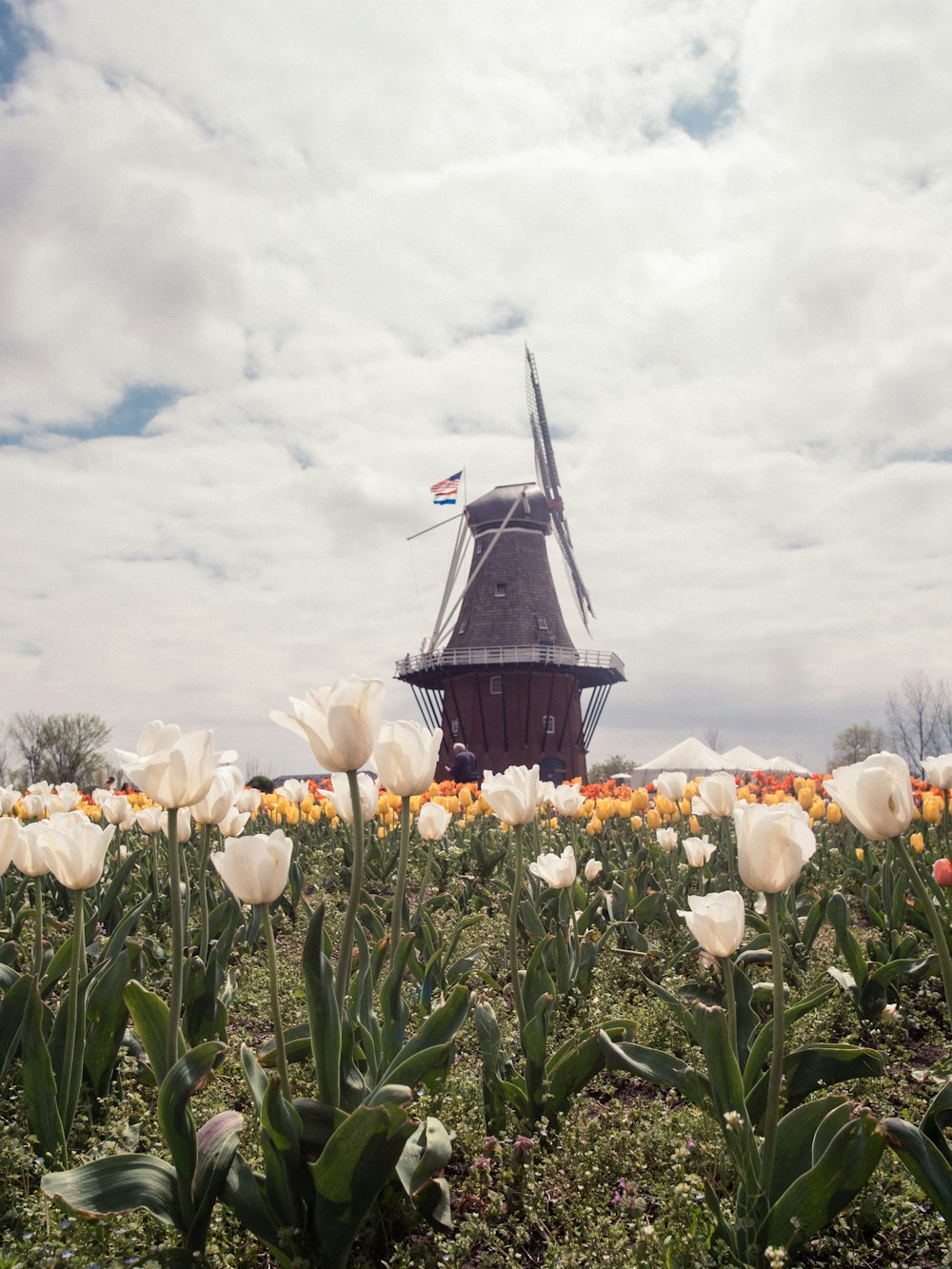 schwarze und braune Windmühle, tagsüber umgeben von grünen Pflanzen unter weißen Wolken