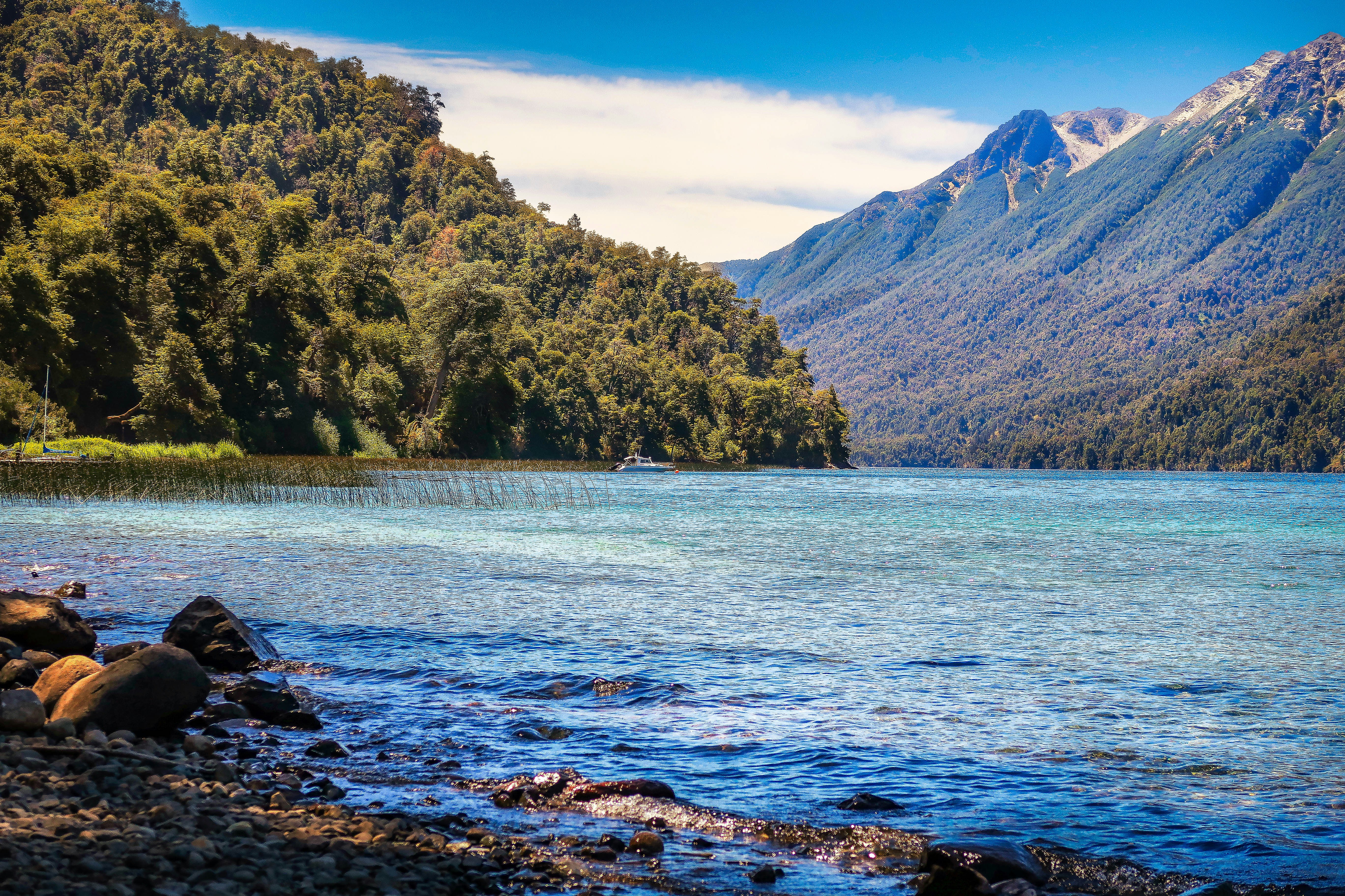 Photo by argentinanatural