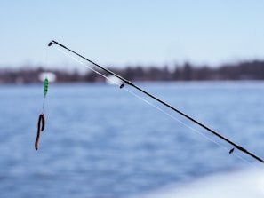 A fishing rod extends into the frame against a backdrop of calm, blue water. The rod is equipped with a line, from which hangs a colorful lure designed to mimic a worm. In the distance, the shoreline is faintly visible, slightly blurred due to the focus on the rod and lure.