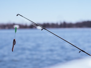 A fishing rod extends into the frame against a backdrop of calm, blue water. The rod is equipped with a line, from which hangs a colorful lure designed to mimic a worm. In the distance, the shoreline is faintly visible, slightly blurred due to the focus on the rod and lure.