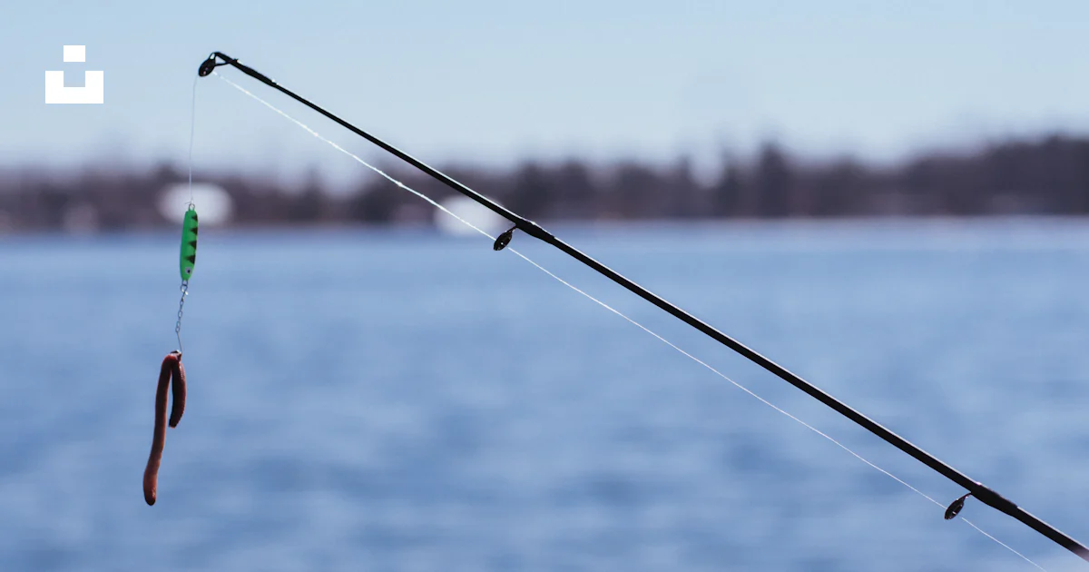 Black fishing rod with green string photo – Free Blue Image on Unsplash