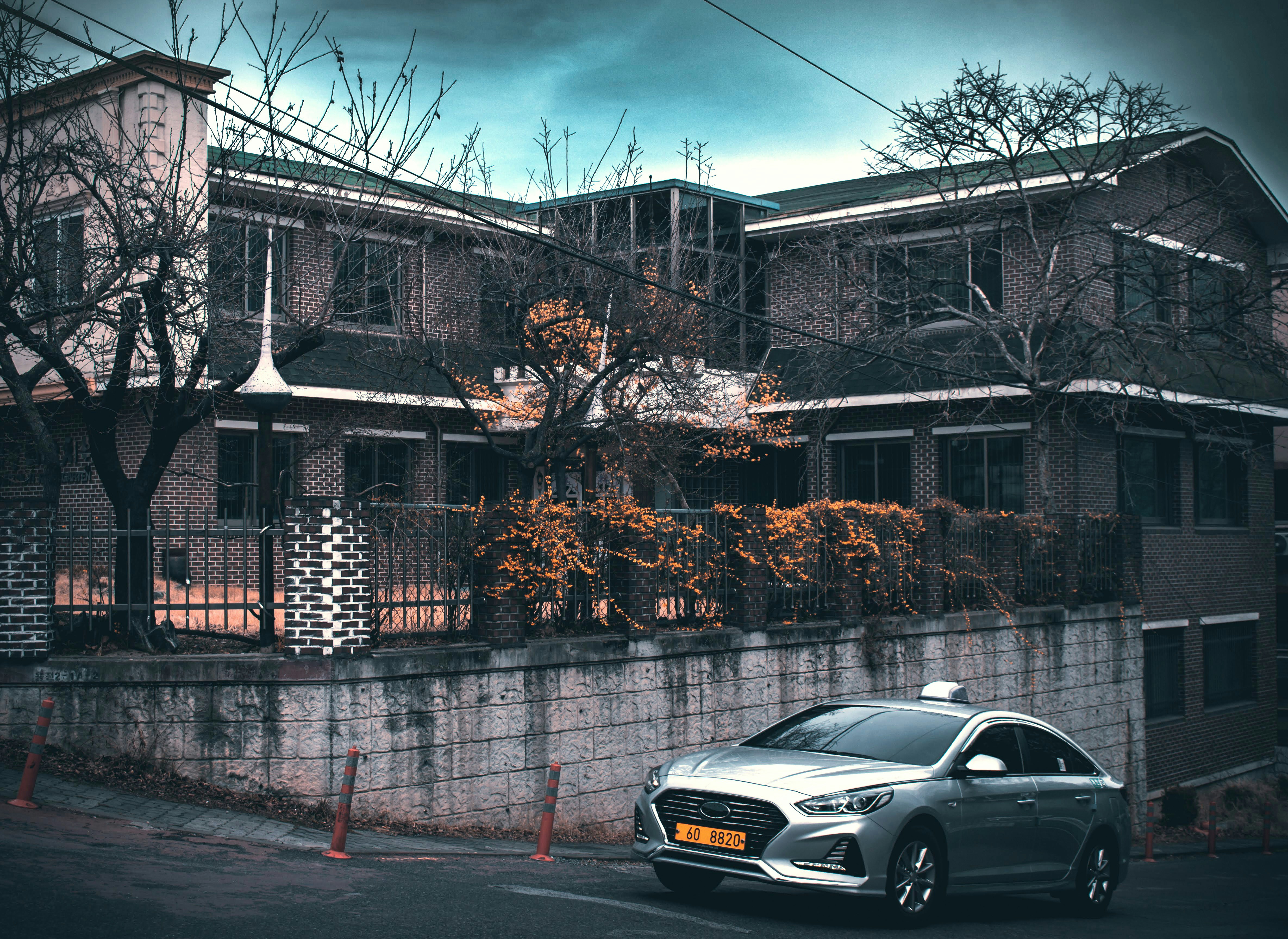 silver sedan parked beside brown bare tree during daytime