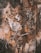 A rustic and textured surface with a depiction of a deer. The imagery is created from various materials, including metal and paint, giving it an aged and weathered appearance. The antlers are prominent and crafted with intricate detail.