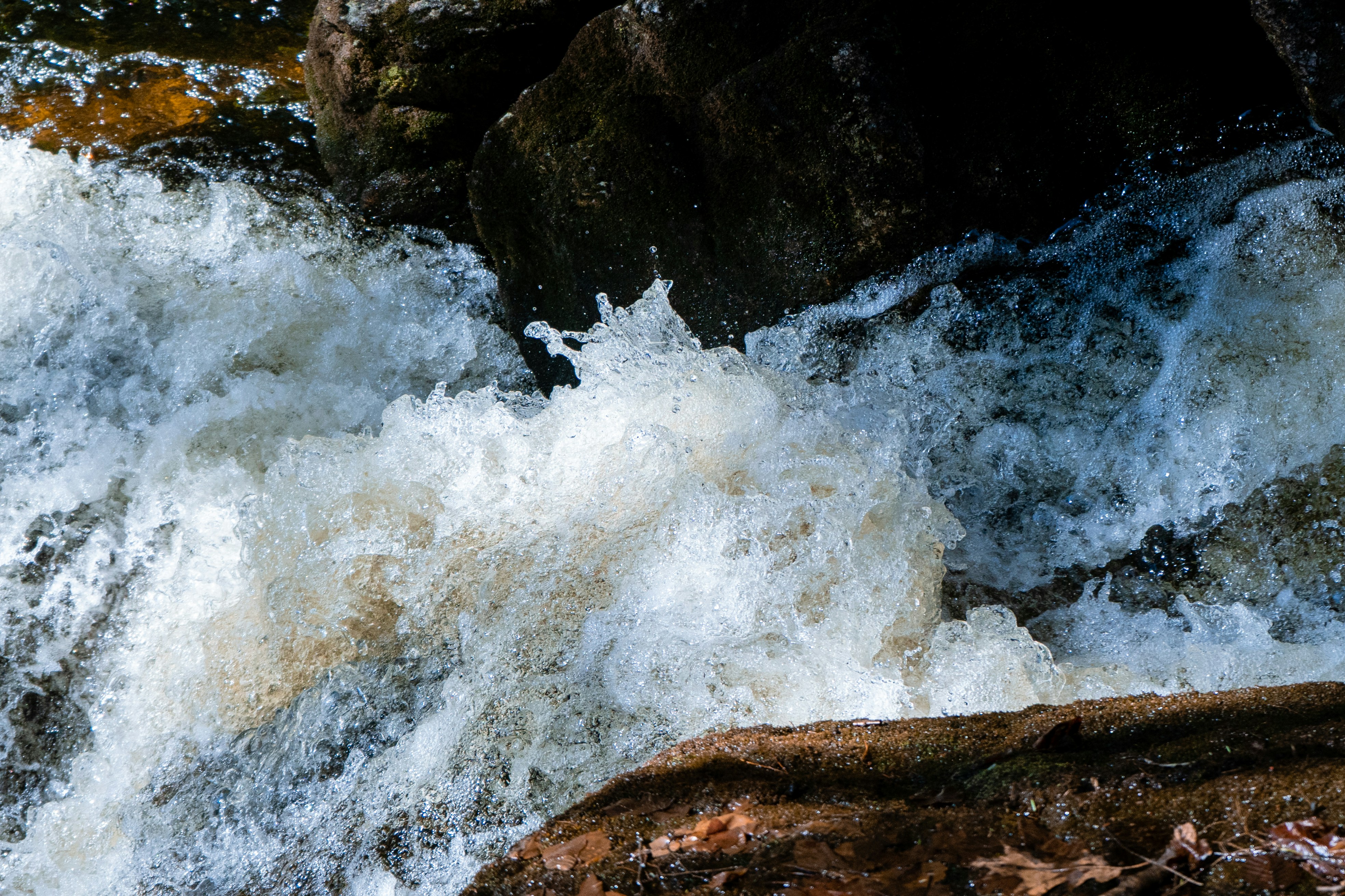 Photo by oliver_fetter