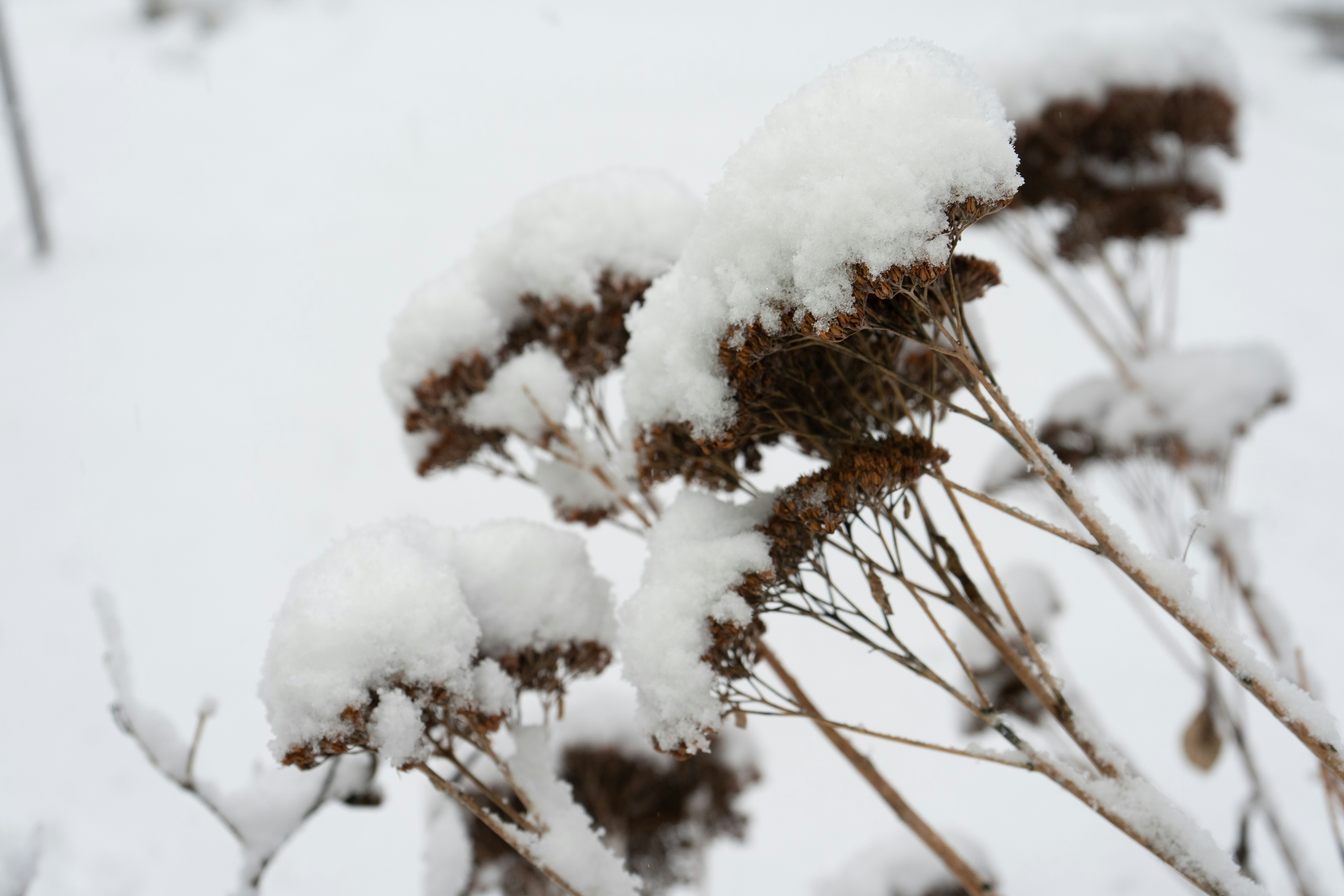 Photo by oliver_fetter